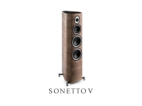 Sonetto V